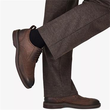 CLARKS MENS BROGUE LACE SHOE - BROWN LEATHER